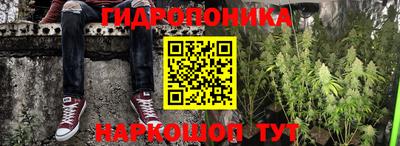 сатива Беслан