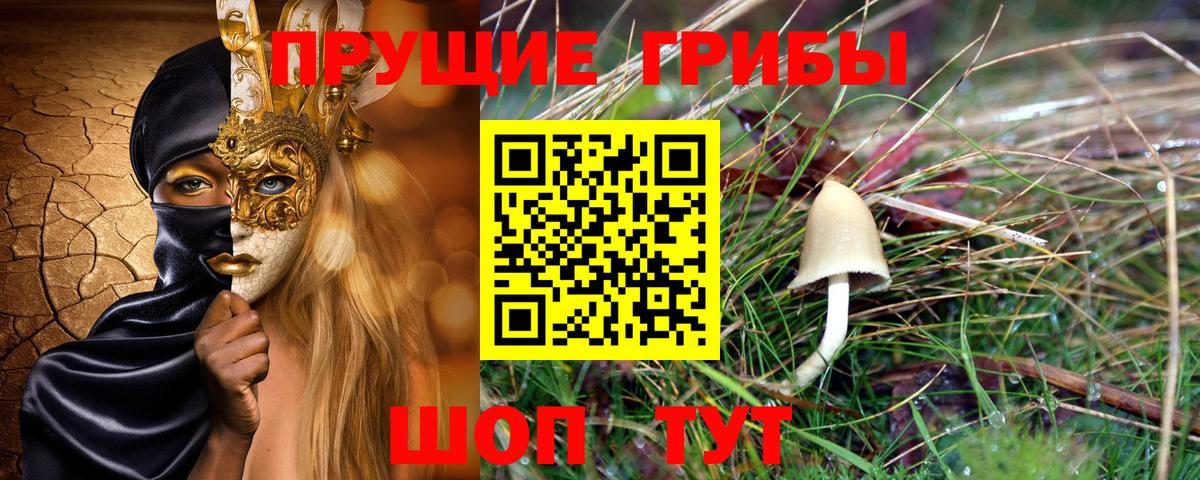Галлюциногенные грибы Cubensis  Вход с VPN  Грязи 
