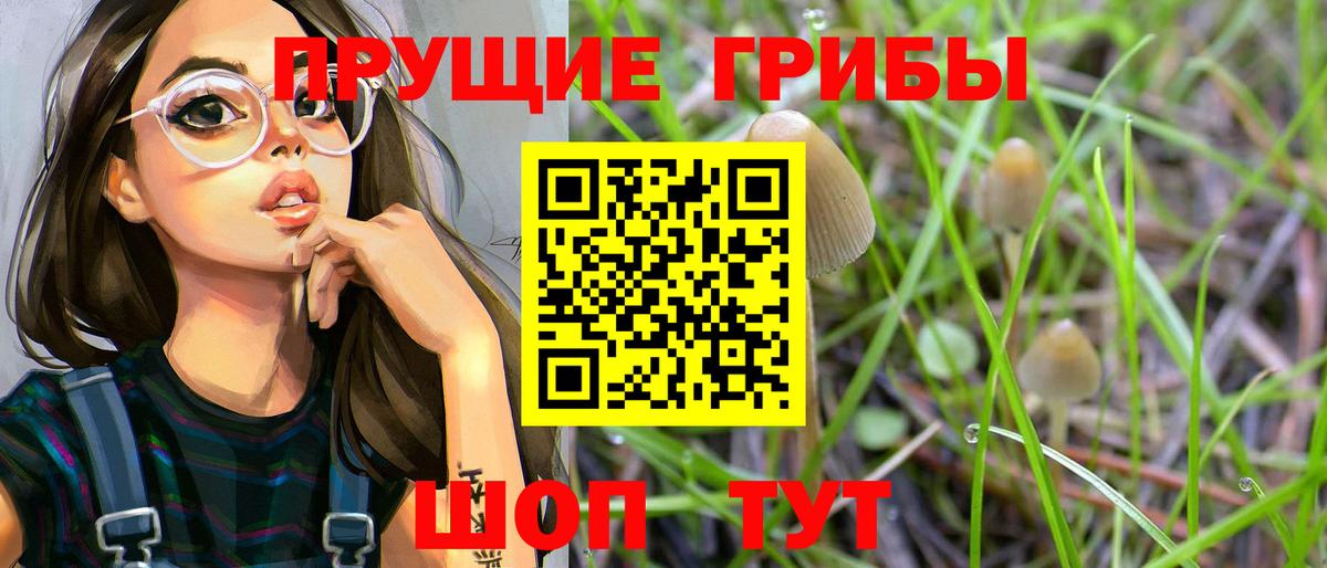 Псилоцибиновые грибы прущие грибы Грязи
